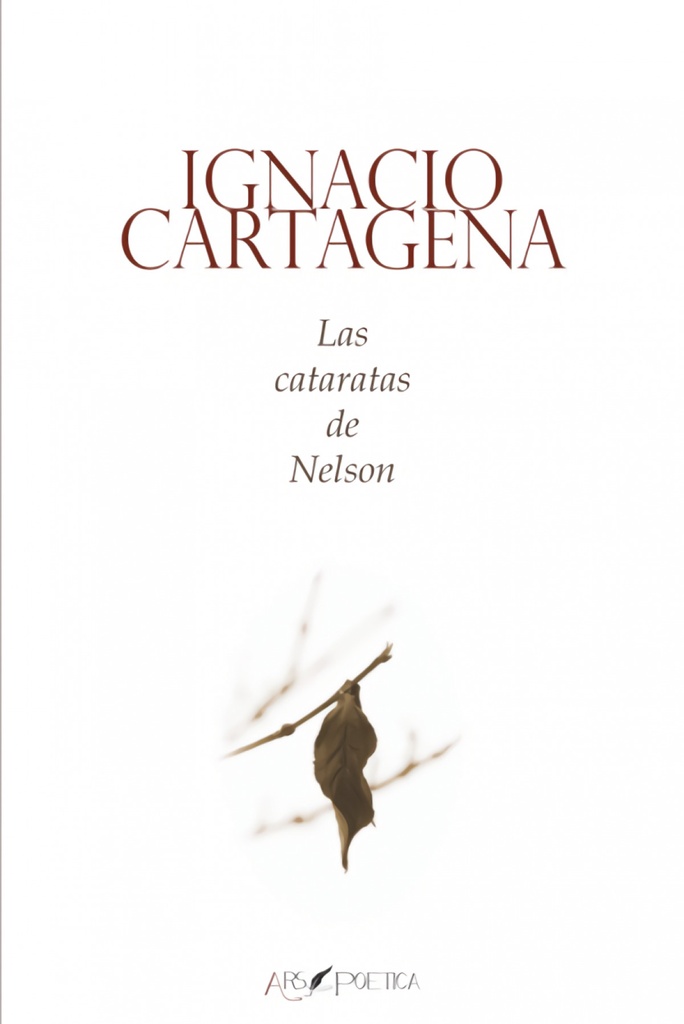 Las cataratas de nelson