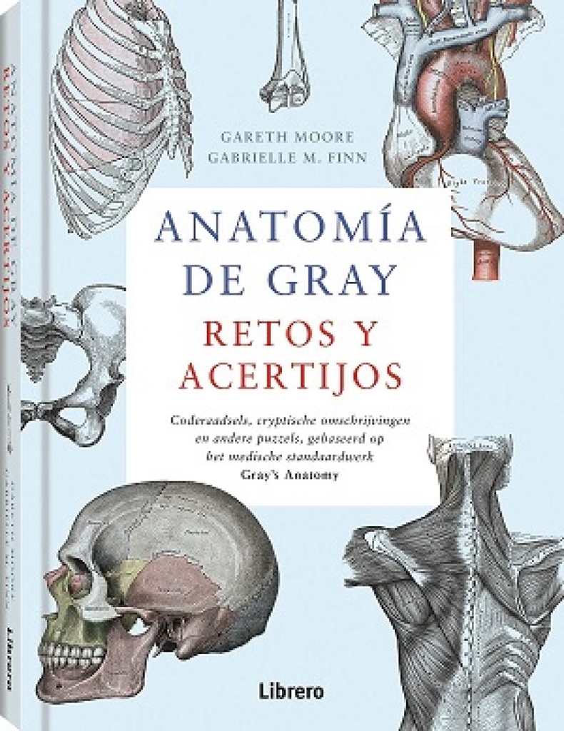 ANATOMIA DE GRAY