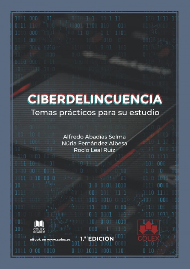 Ciberdelincuencia: temas prácticos para su estudio