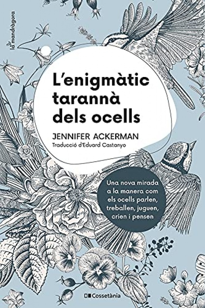 L´enigmàtic tarannà dels ocells