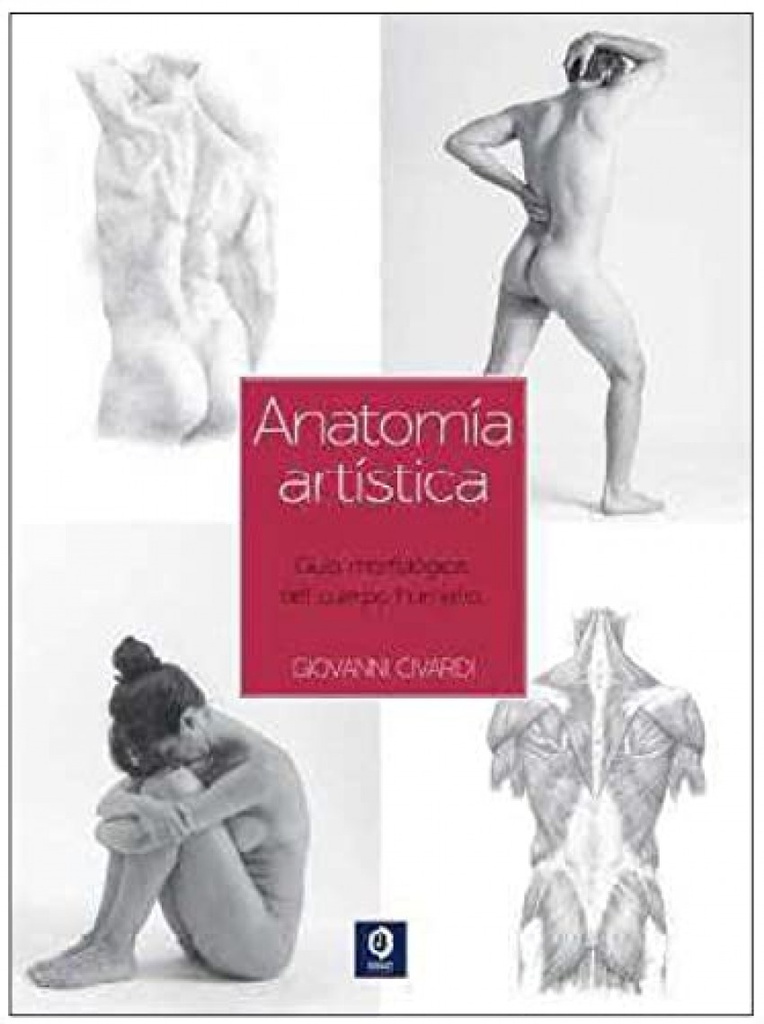 GUÍA ESENCIAL DEL DIBUJO ANATOMÍA ARTÍSTICA