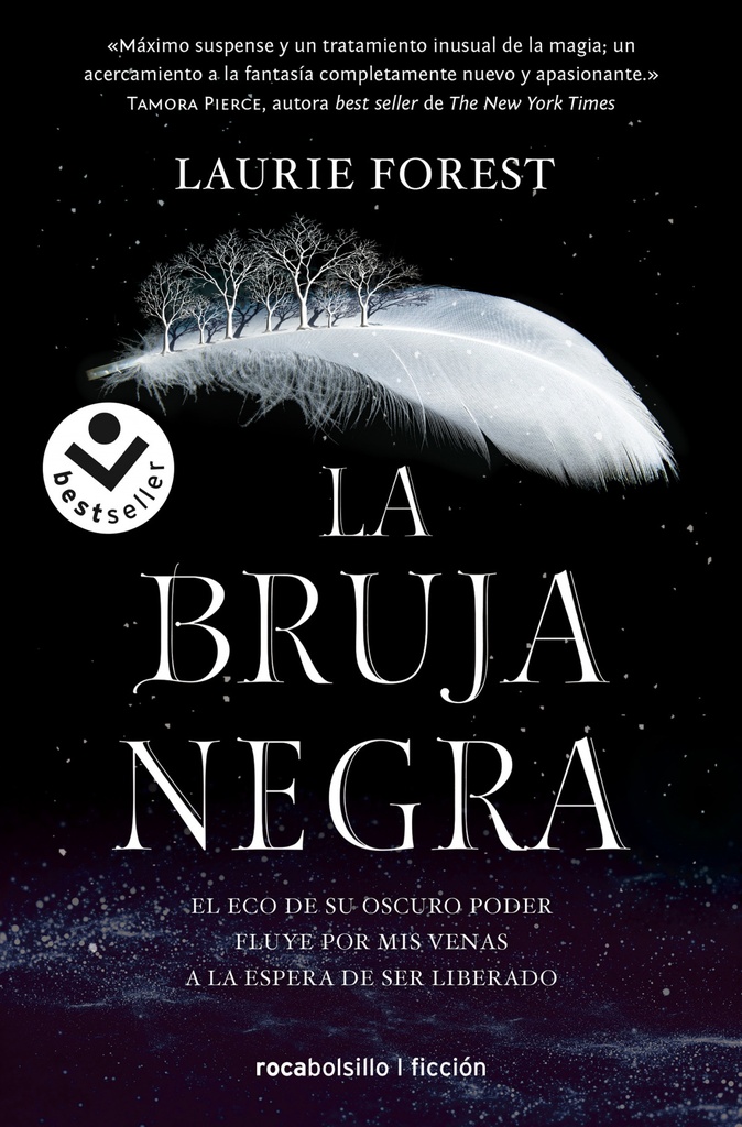 La bruja negra (Las crónicas de la bruja negra 1)