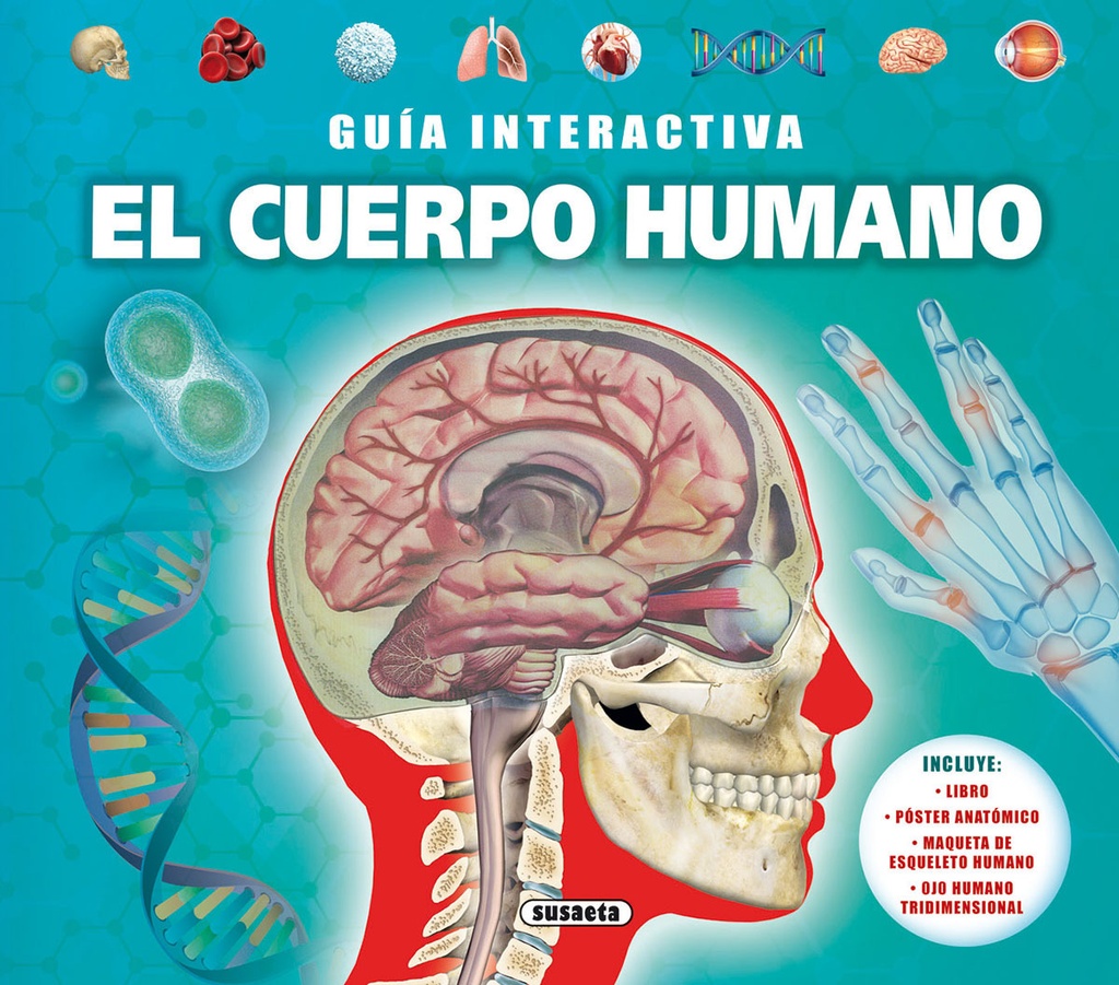 El cuerpo humano