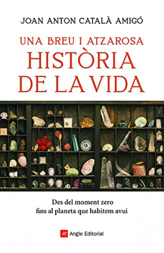 Una breu i atzarosa història de la vida