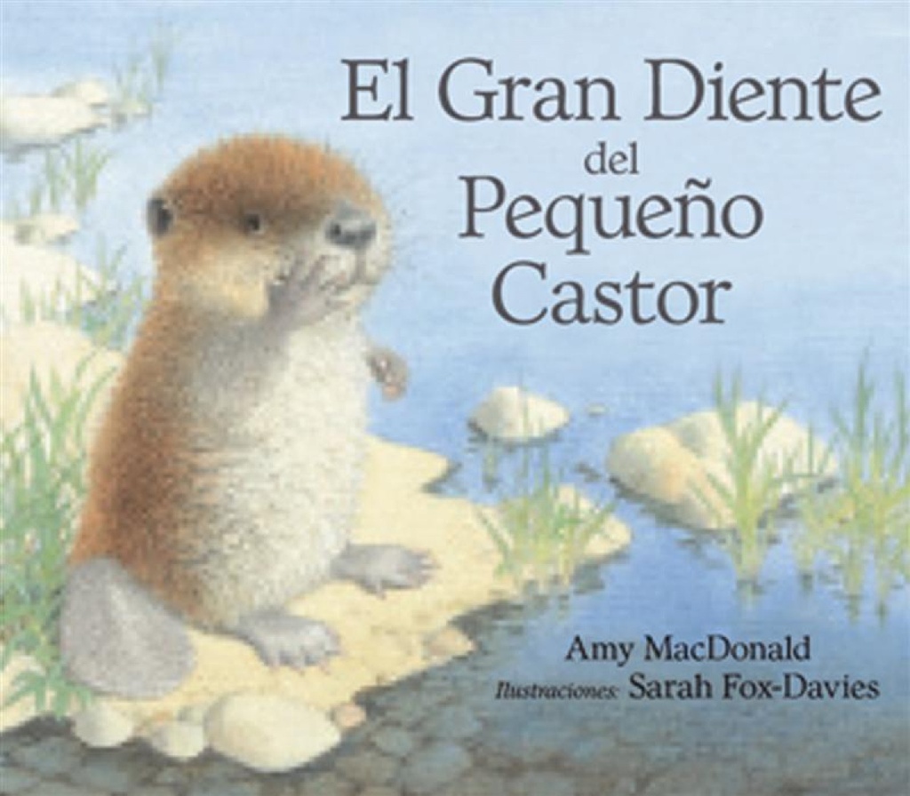 El gran diente del pequeño castor