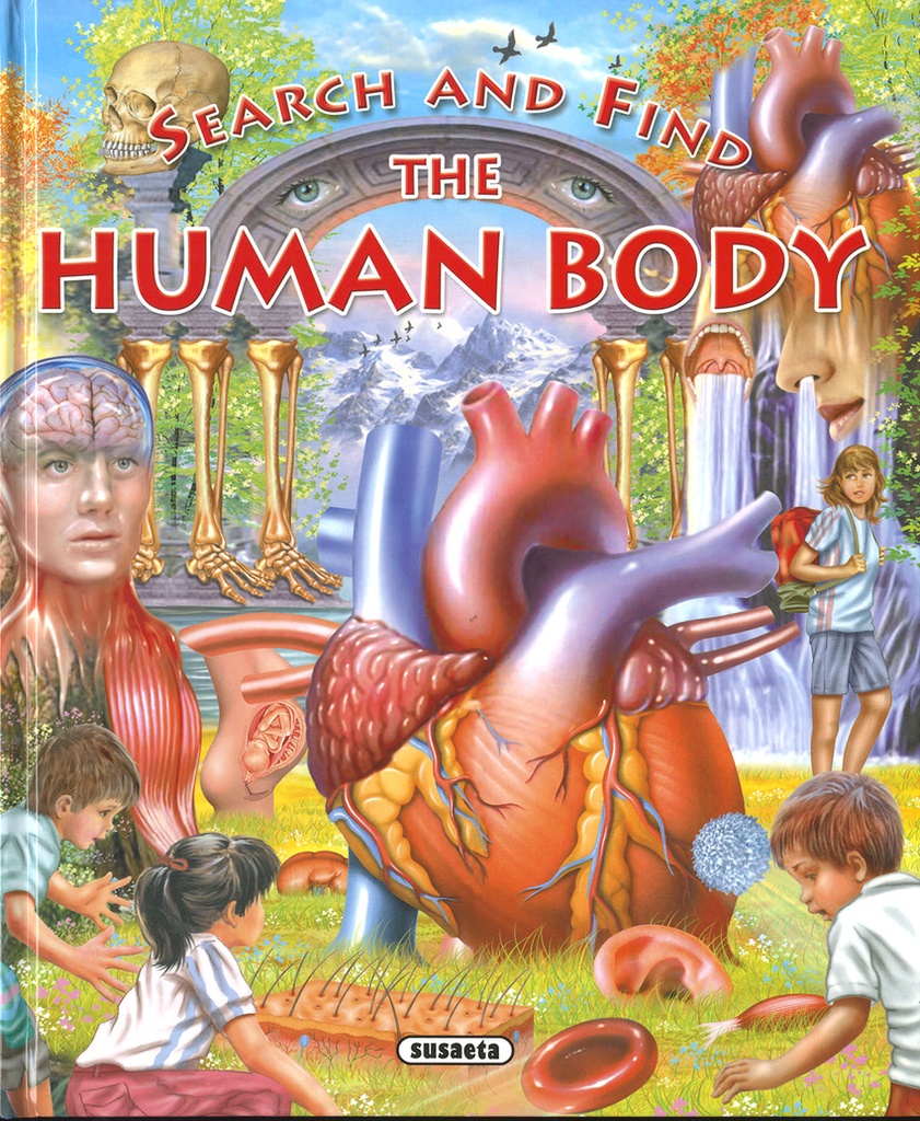 The human body