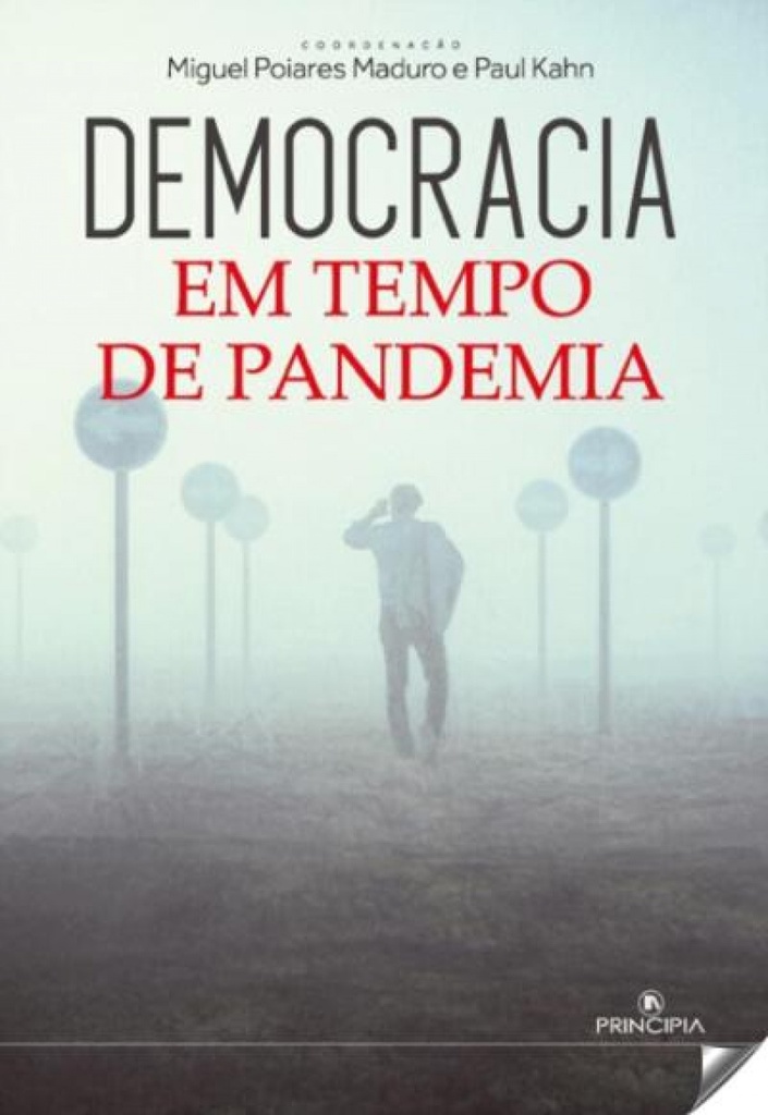 Democracia em tempo de pandemia