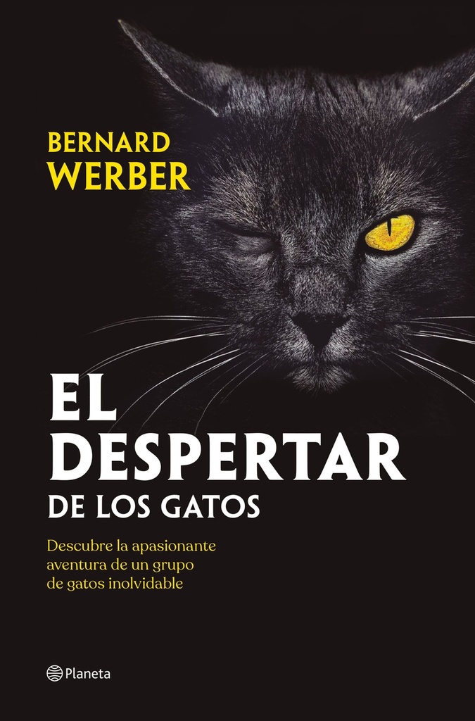 El despertar de los gatos