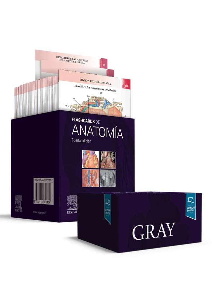 Gray. Flashcards de Anatomía