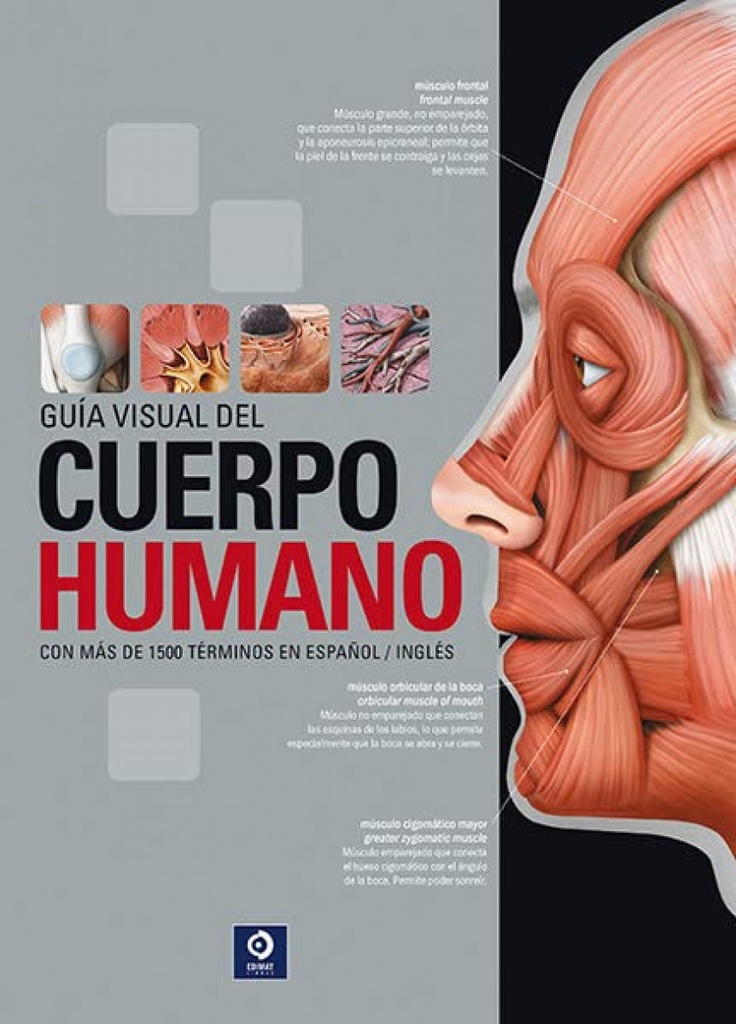 GUÍA VISUAL DEL CUERPO HUMANO