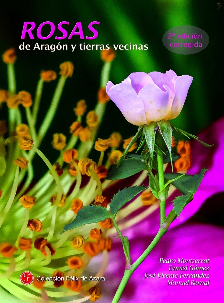 Rosas de Aragón y tierras vecinas