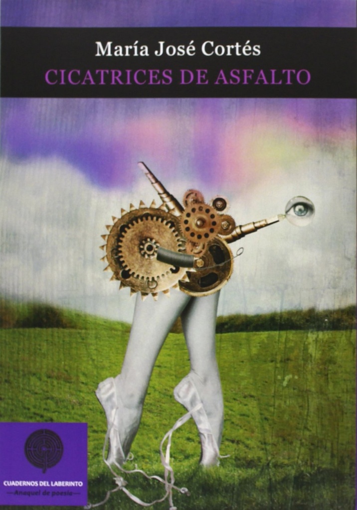 Cicatrices de asfalto