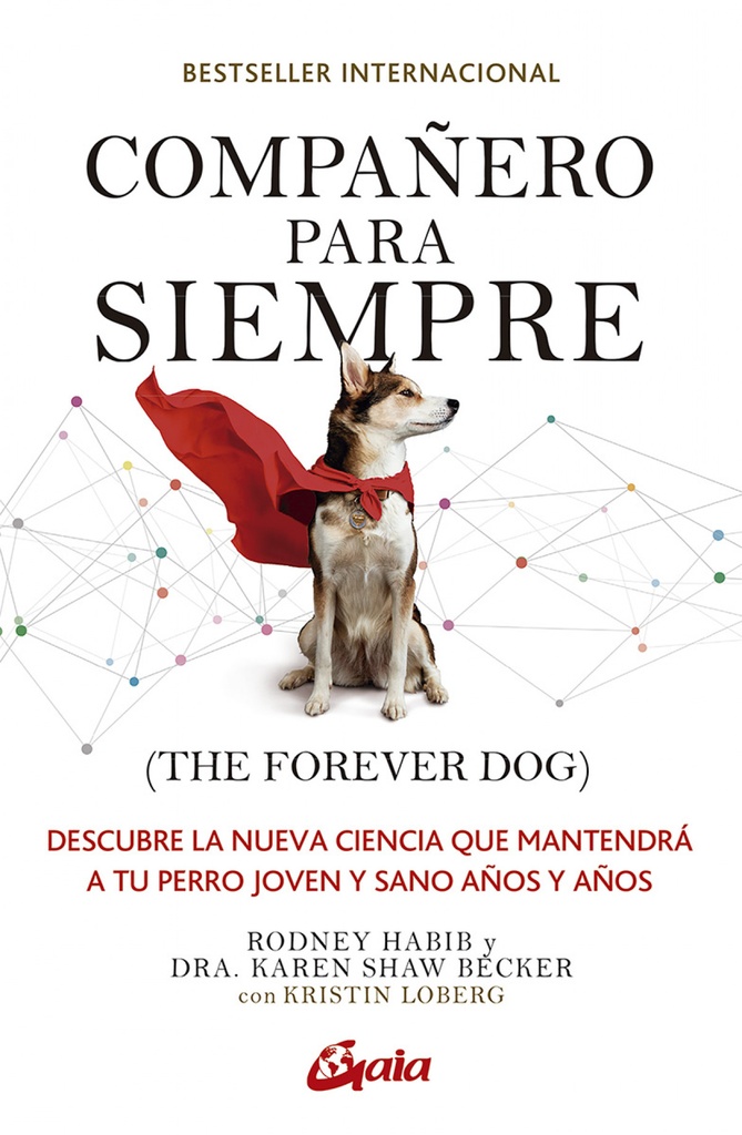 Compañero para siempre (The forever dog)