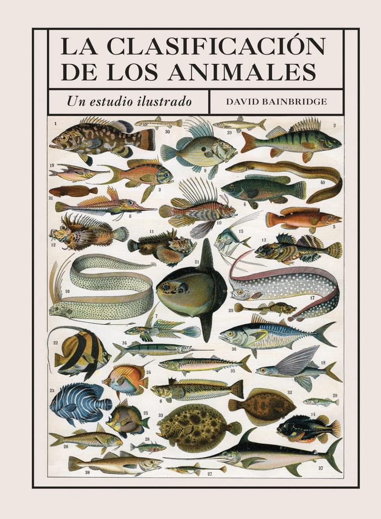 CLASIFICACION DE LOS ANIMALES, LA