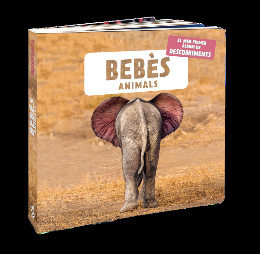 Bebès animals