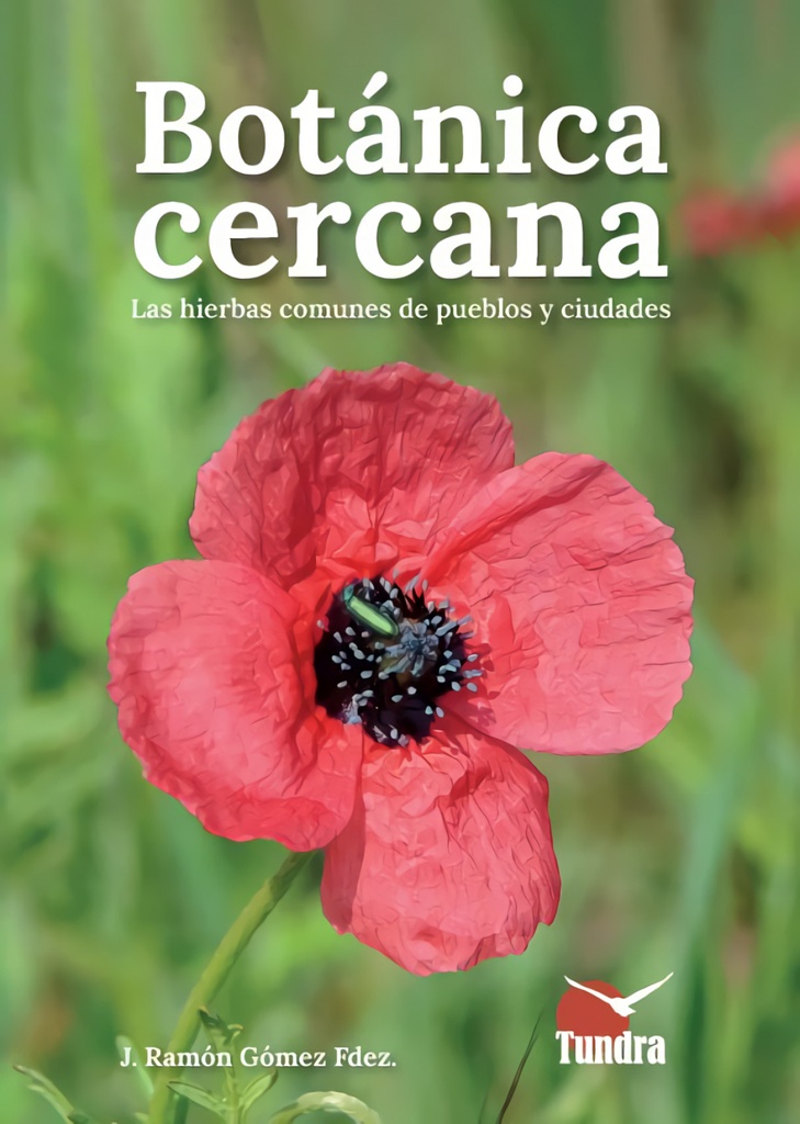 BOTANICA CERCANA. LAS HIERBAS COMUNES DE LOS PUEBLOS Y CIUDADES