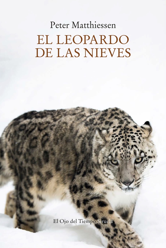 El leopardo de las nieves