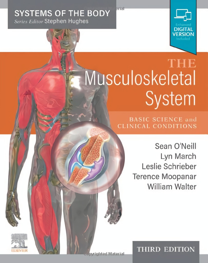 THE MUSCULOSKELETAL SYSTEM 3RD.EDITION