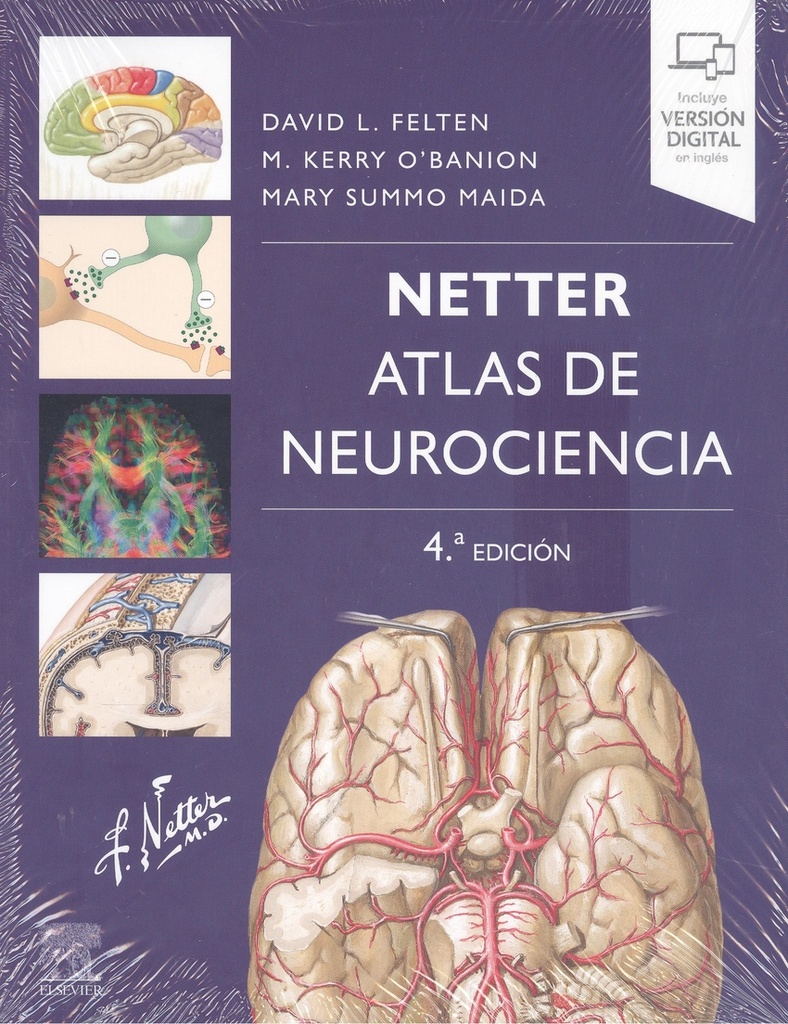 Netter. Atlas de neurociencia (4ª ed.)