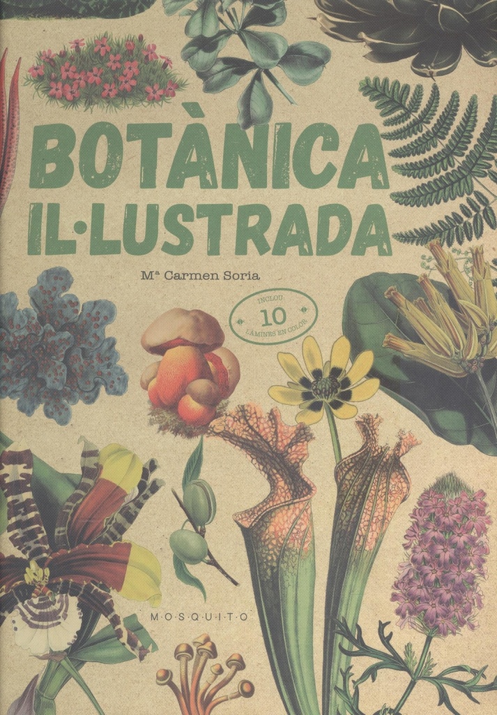 BOTÀNICA IL·LUSTRADA