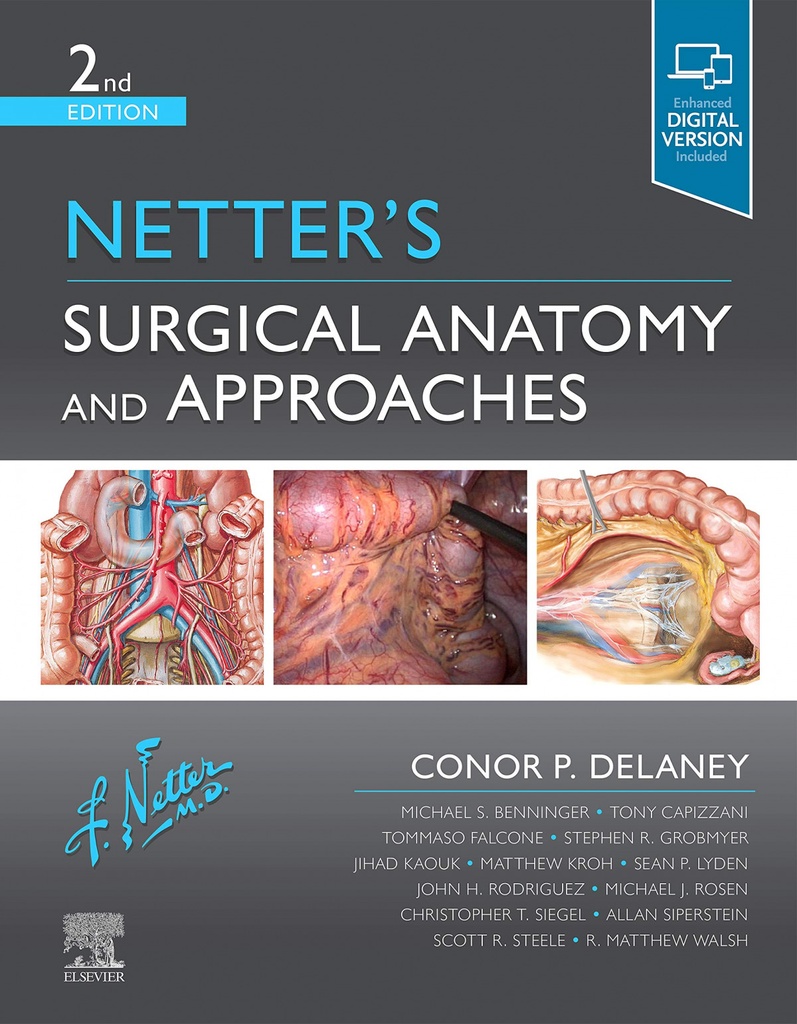 Surgical anatomy and approaches