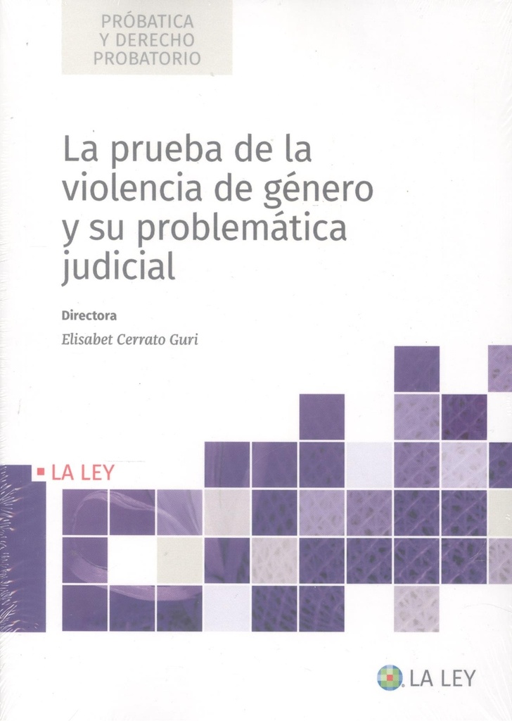 La prueba de la violencia de género y su problemática judicial