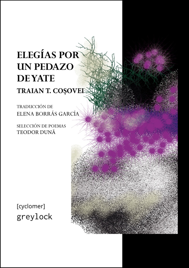 Elegías por un pedazo de yate