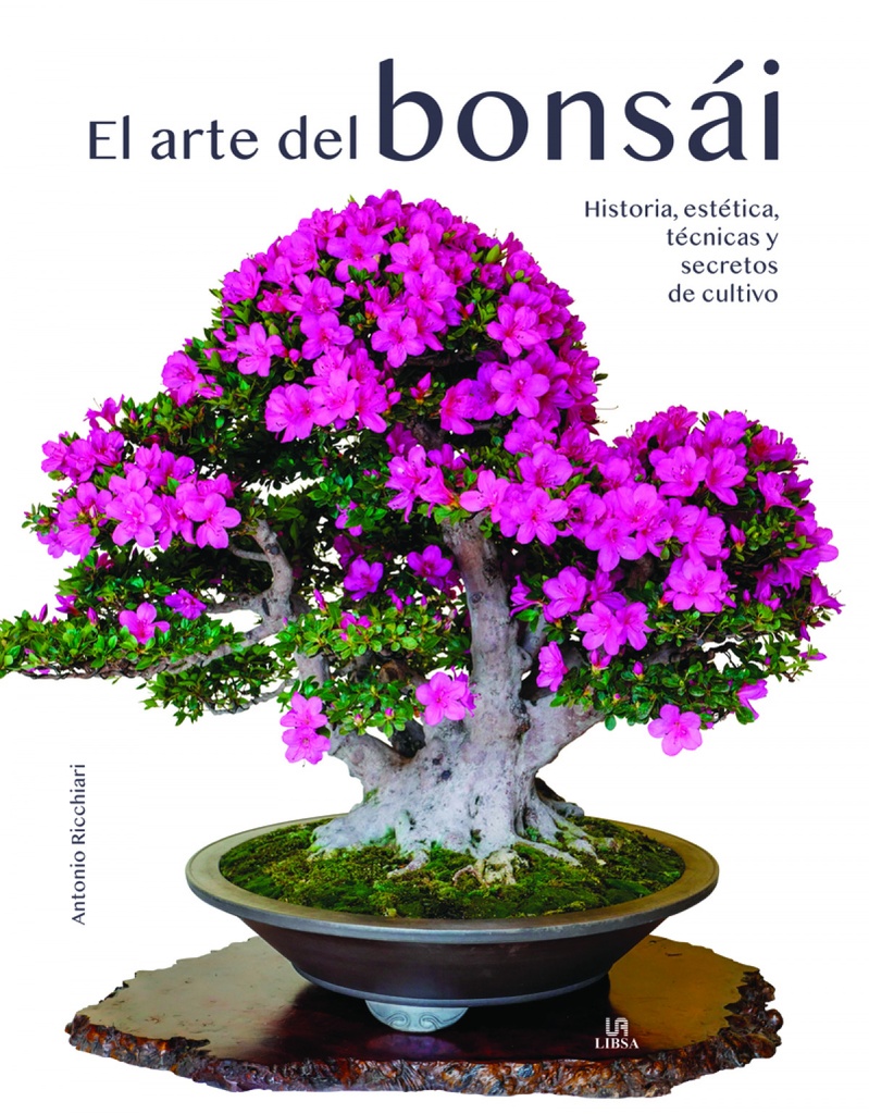 El Arte del Bonsái