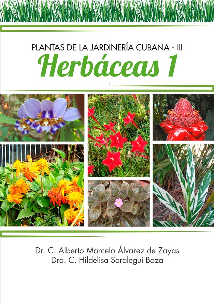 PLANTAS DE LA JARDINERÍA CUBANA 3. HERBÁCEAS (PRIMERA PART