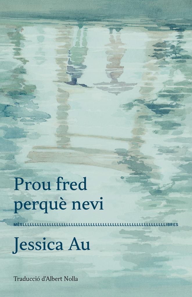 Prou fred perquè nevi