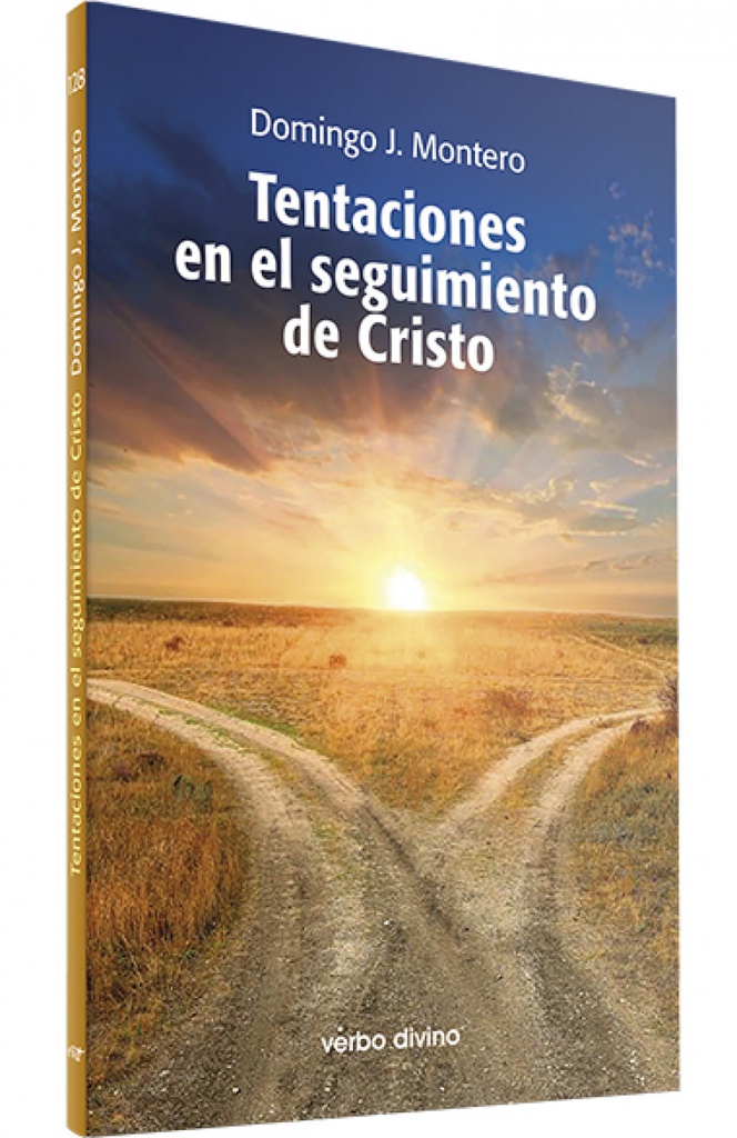 Tentaciones en el seguimiento de Cristo