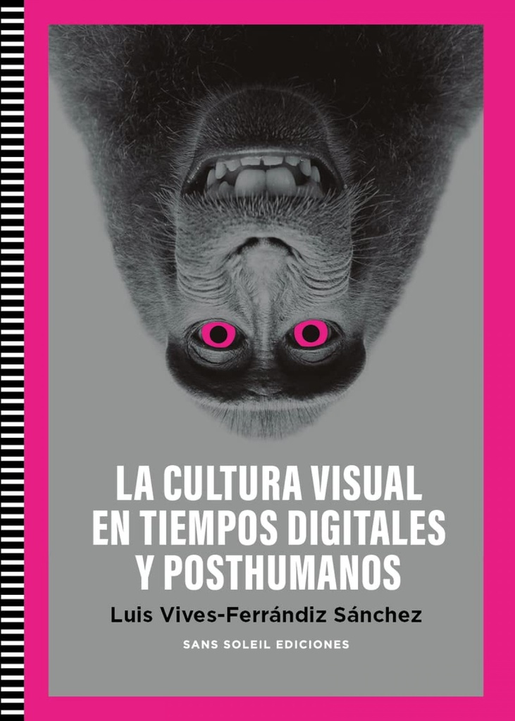 Cultura Visual en tiempos digitales y posthumanos