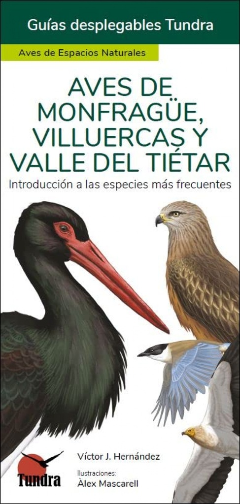 AVES DE MONFRAGUE, VILLUERCAS Y VALLE DEL TIETAR - GUIAS DESPLEGABLES TUNDRA