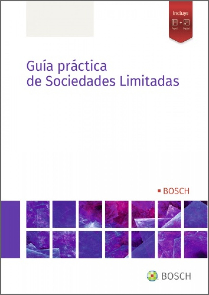 Guía práctica de Sociedades Limitadas