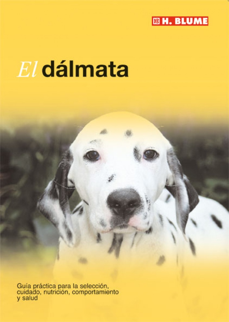 Dalmata