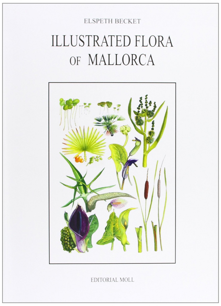 ILLUSTRATED FLORA OF MCA.RUSTICA