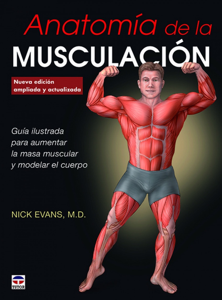 ANATOMÍA DE LA MUSCULACIÓN