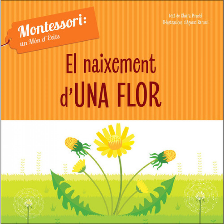 EL NAIXEMENT D´UNHA FLOR