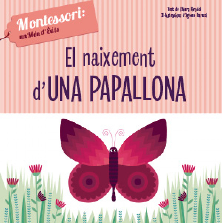 EL NAIXEMENT D´UNHA PAPALLONA