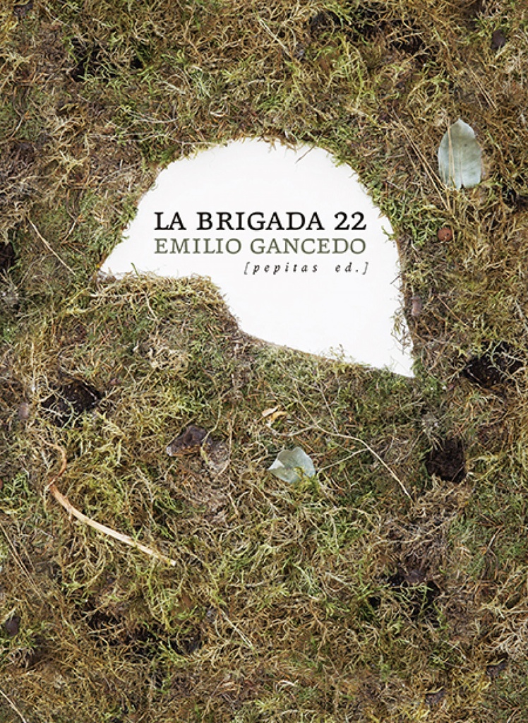 LA BRIGADA 22