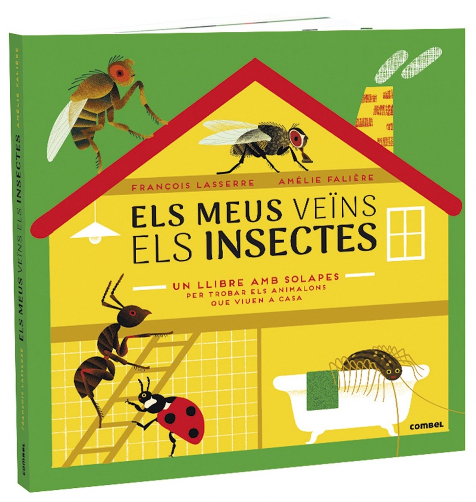 Els meus veïns els insectes