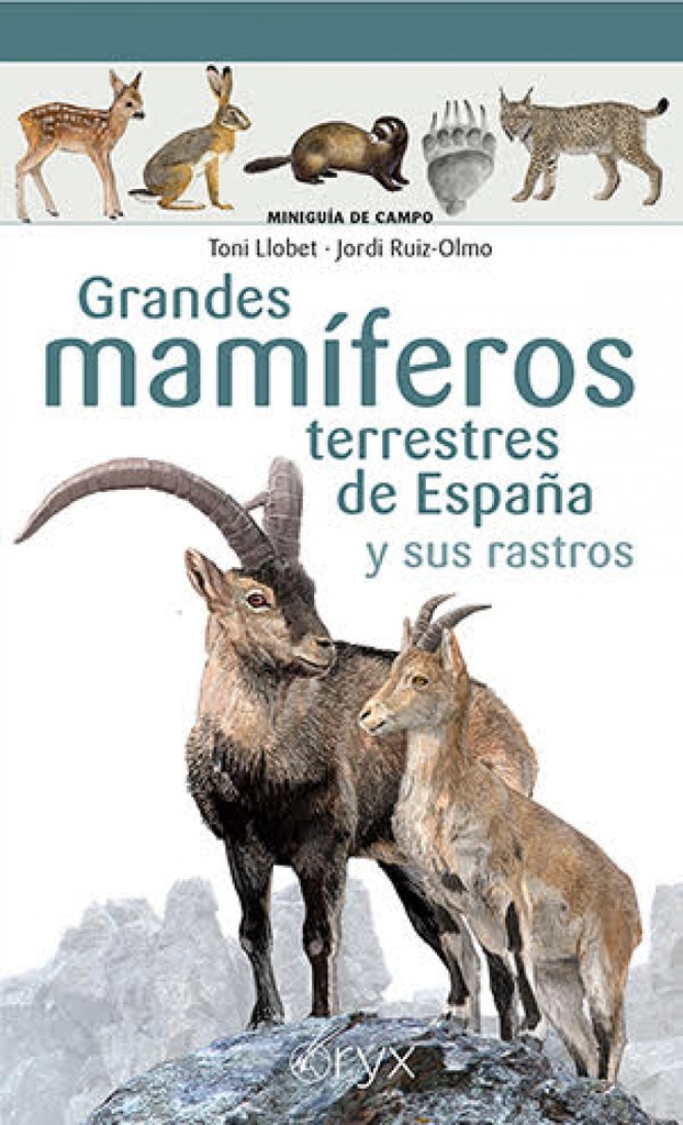 Grandes mamíferos terrestres de España y sus rastros