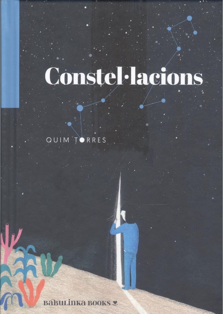 Constel·lacions