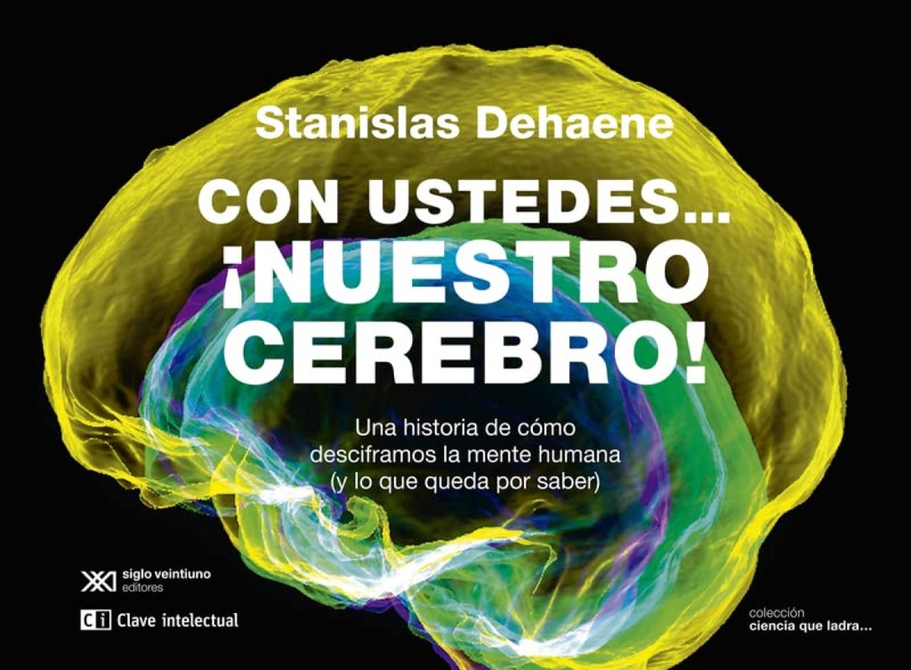 Con ustedes...¡nuestro cerebro!