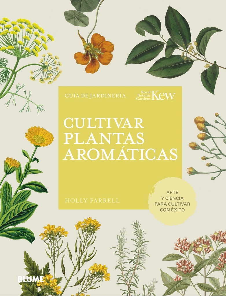 Cultivar plantas aromáticas