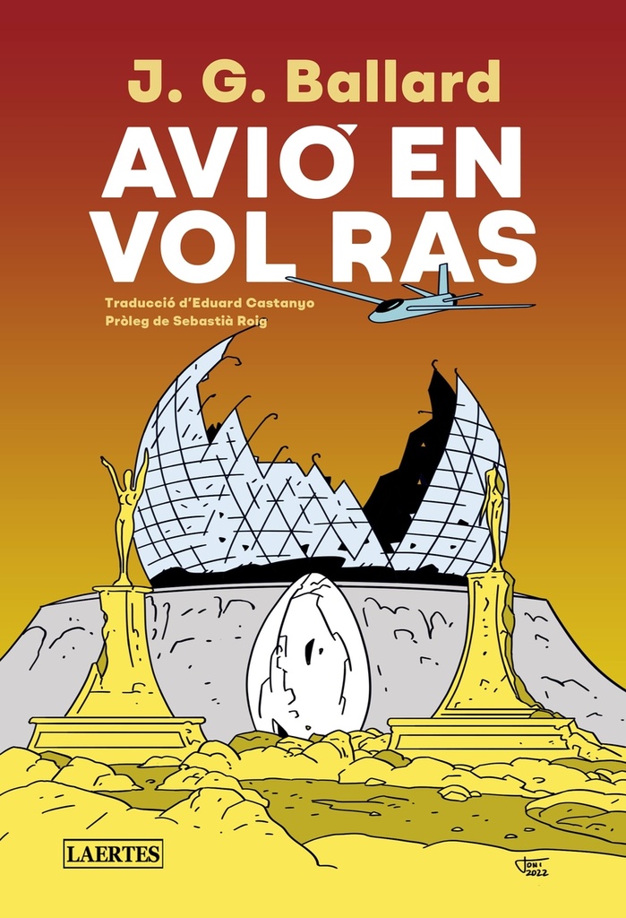 Avió en vol ras