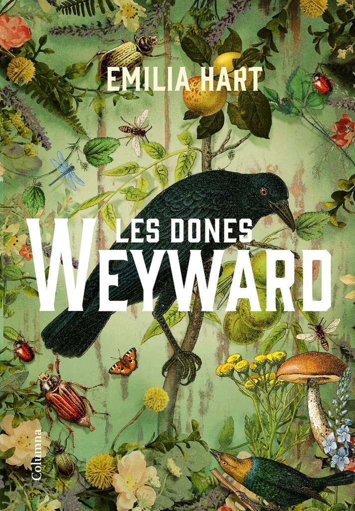 Les dones Weyward