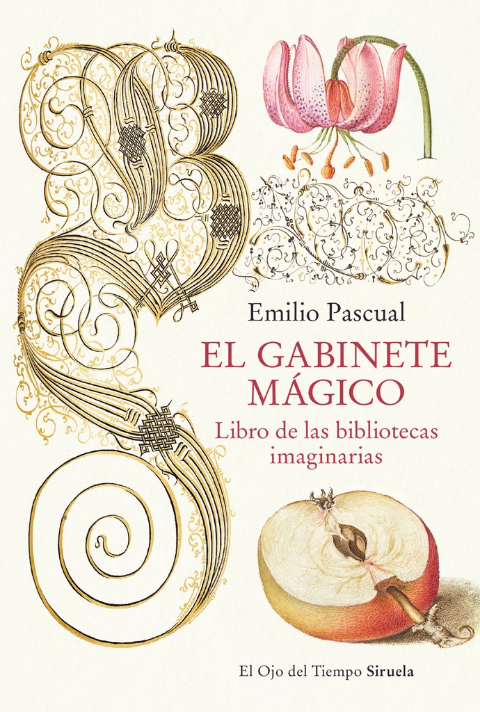 Gabinete magico:libro de las bibliotecas imaginarias