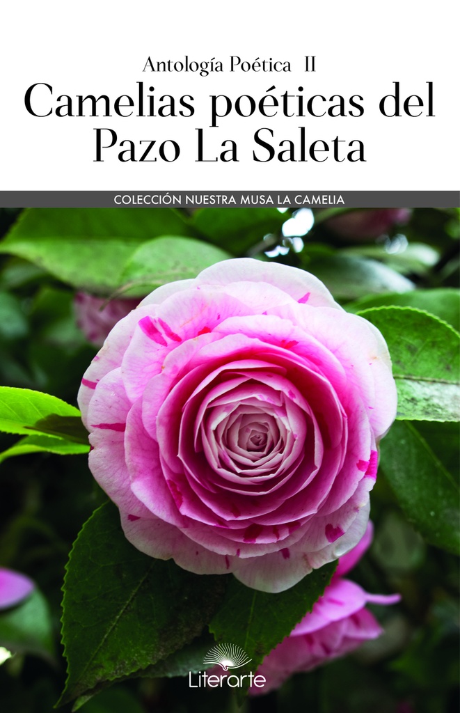 Camelias poéticas del Pazo La Saleta