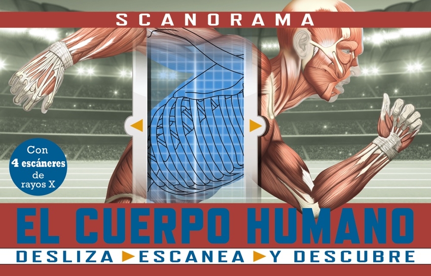 Scanorama. El cuerpo humano